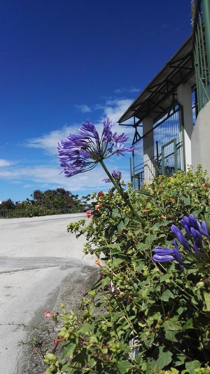 Hotel Las Brumas カルタゴ エクステリア 写真